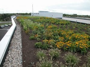 ST. Christopher Green Roof